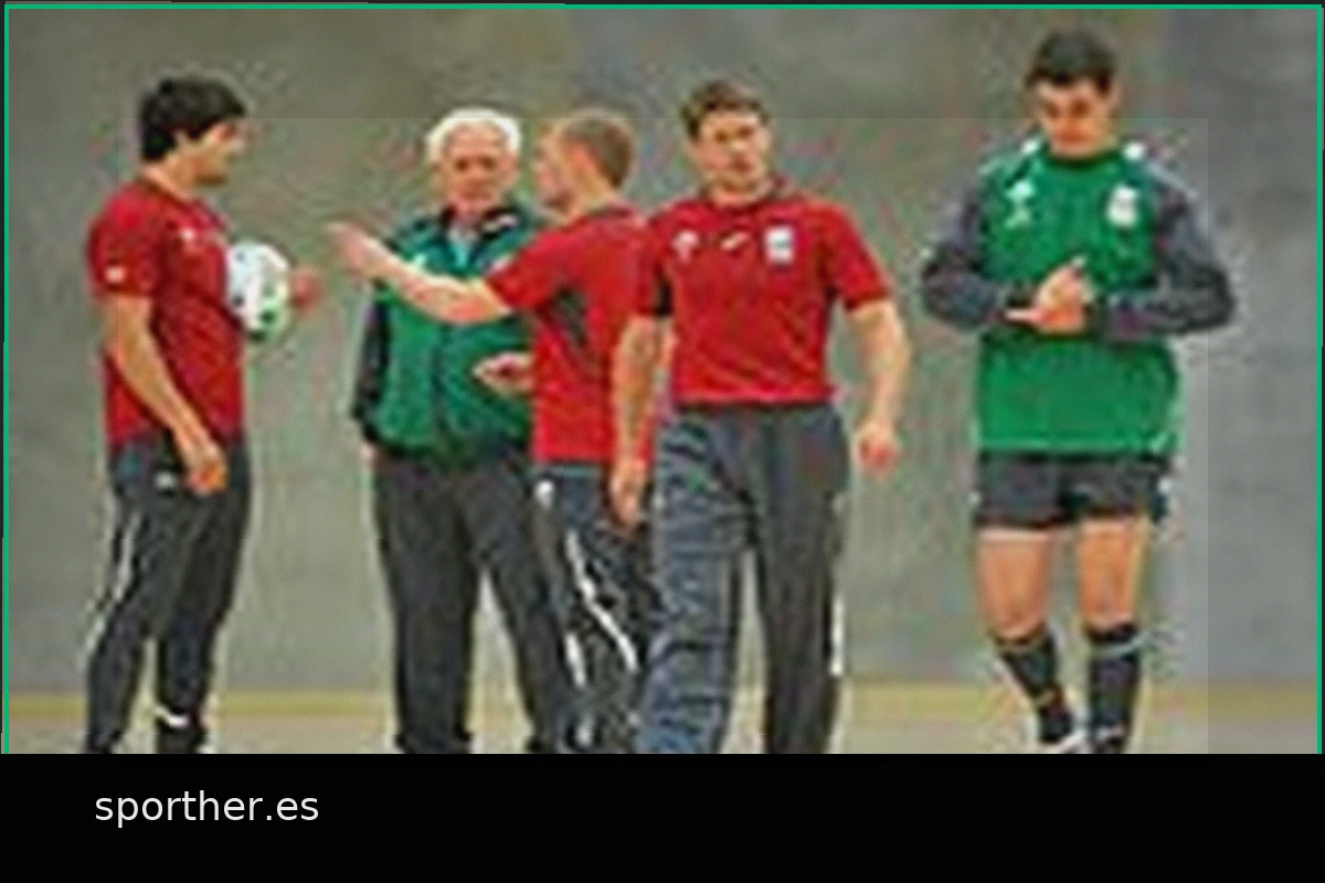 Los 50 Mejores Jugadores Irlandeses de Rugby de la Era Profesional Clasificados